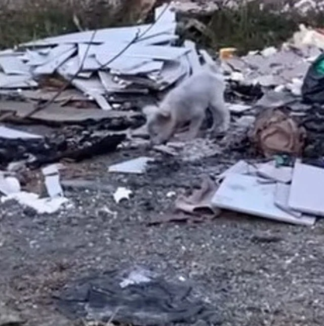 This heartwarming story serves as a remi...