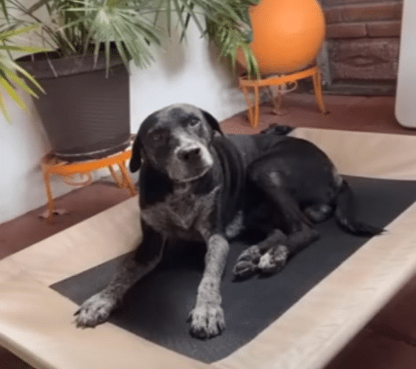 Extra image from article