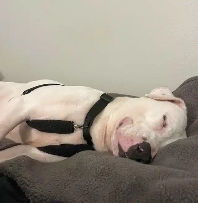 Extra image from article