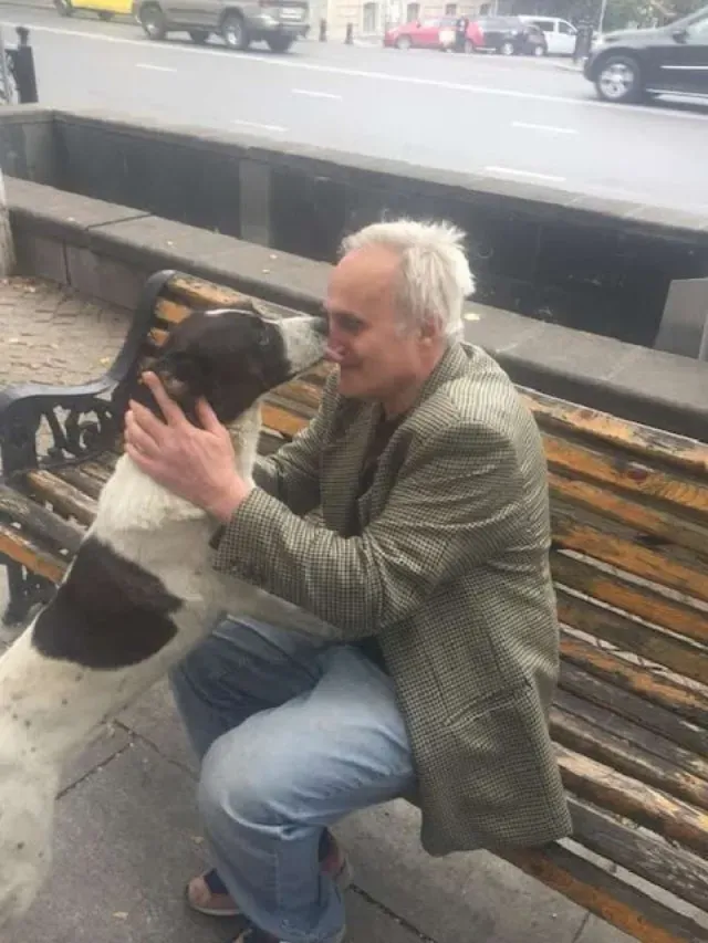 Extra image from article