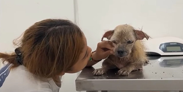 Although his health remains fragile, he’...