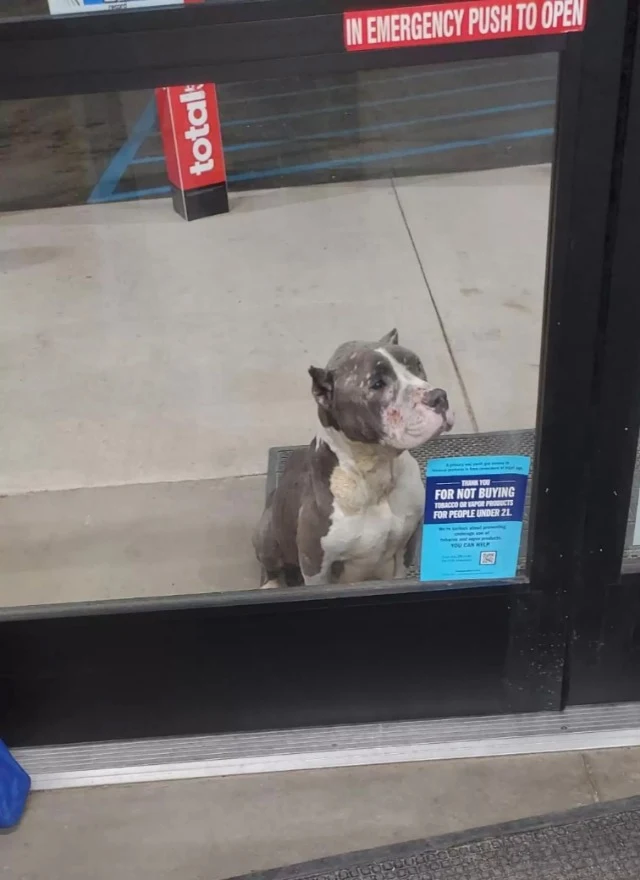 The rescue team safely gathered the moth...