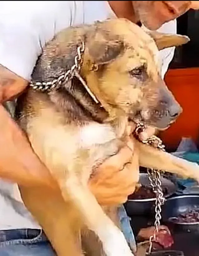 Extra image from article