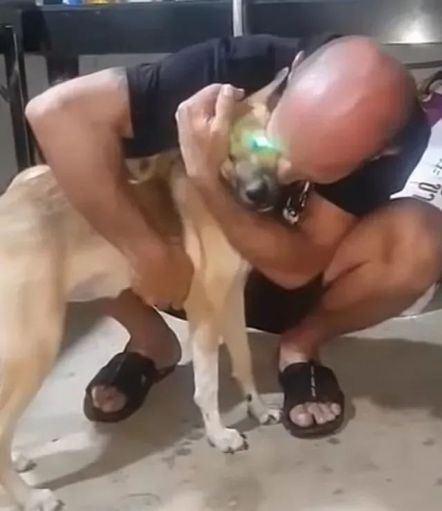 Extra image from article