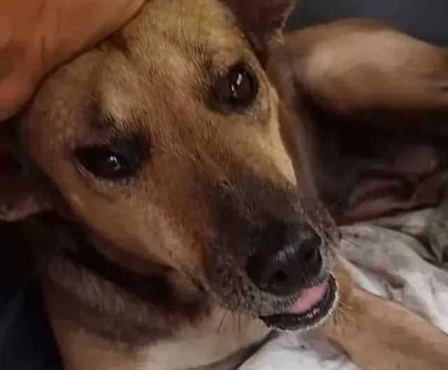 Extra image from article