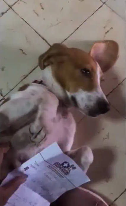 Nona’s journey exemplifies the profound ...