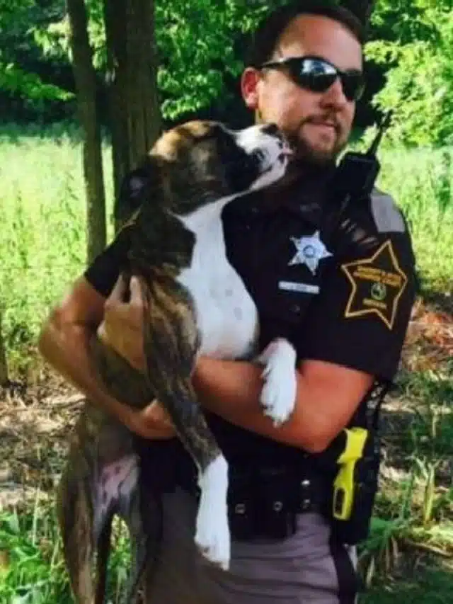 Ahlberg also shared a touching detail of...