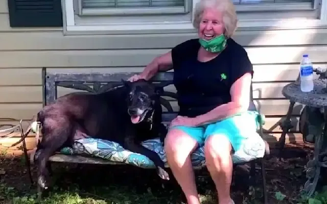 For a heartwarming glimpse into how thes...