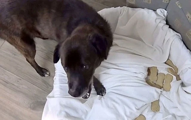 Extra image from article