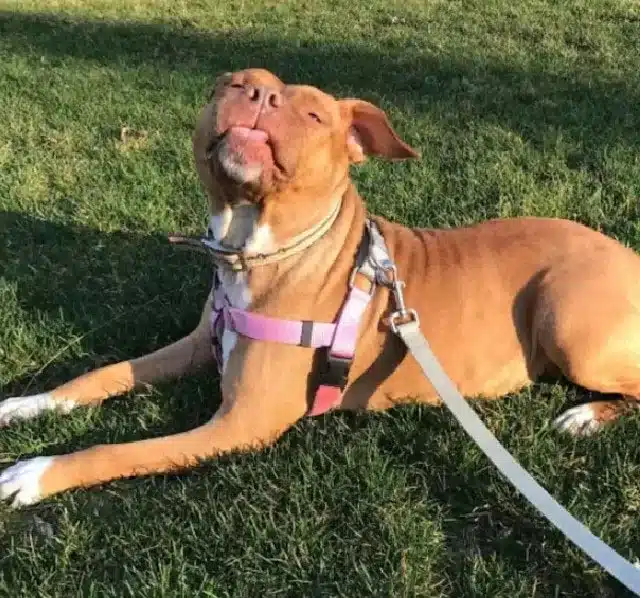 Extra image from article