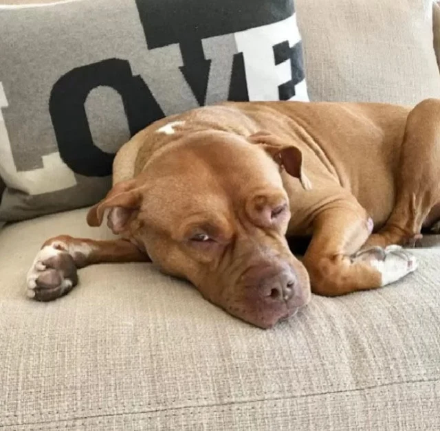 Extra image from article