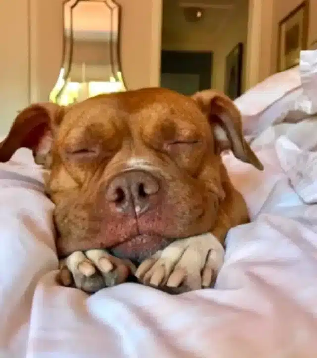 Extra image from article