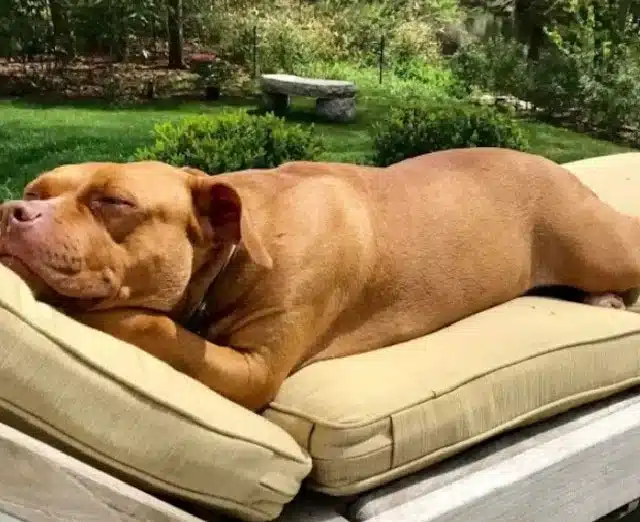 Extra image from article