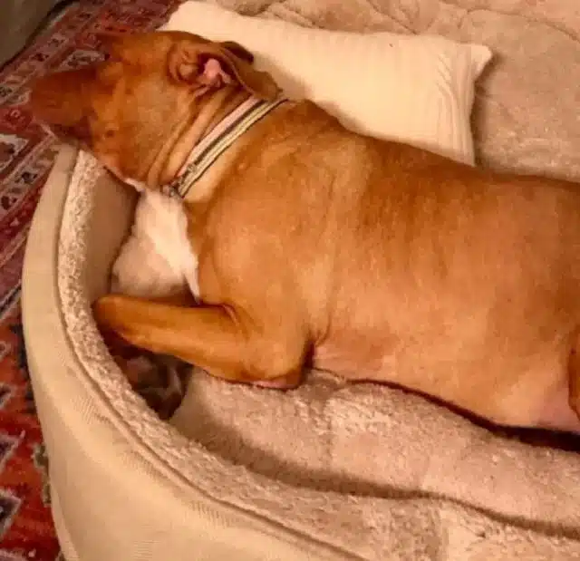 Extra image from article