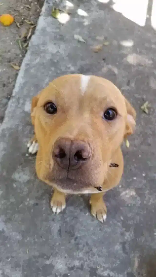 Extra image from article