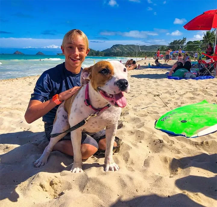 Extra image from article