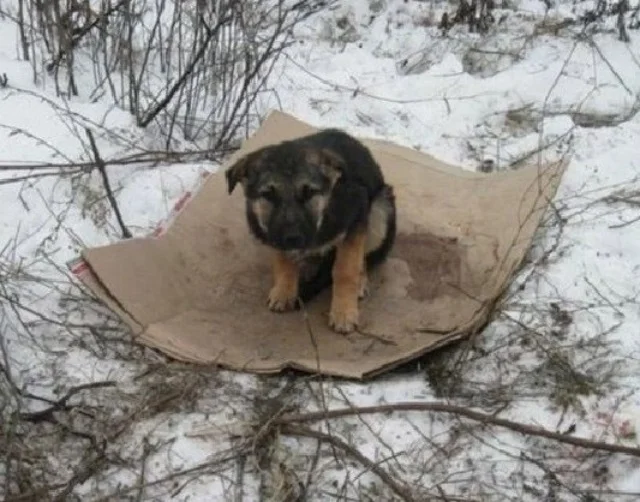 Her journey didn't stop there. Natalia b...