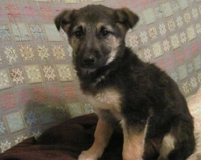 Extra image from article