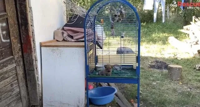 While the exact circumstances behind Min...