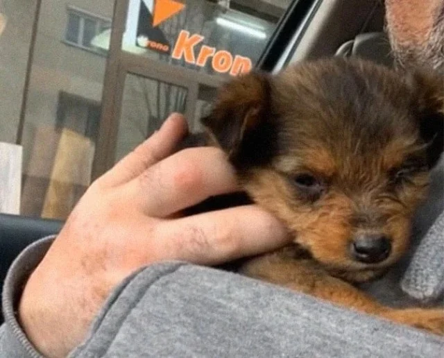 Extra image from article