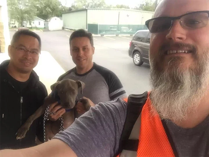 Moved by the dog’s plight, the engineers...