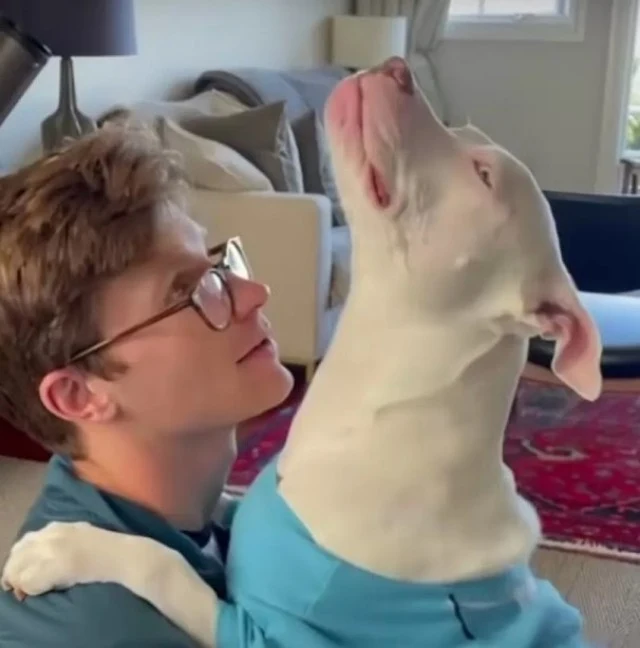 Mark and Sean have also found creative w...