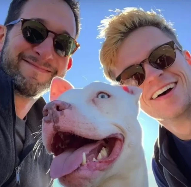 Feel free to share Blu’s heartwarming st...