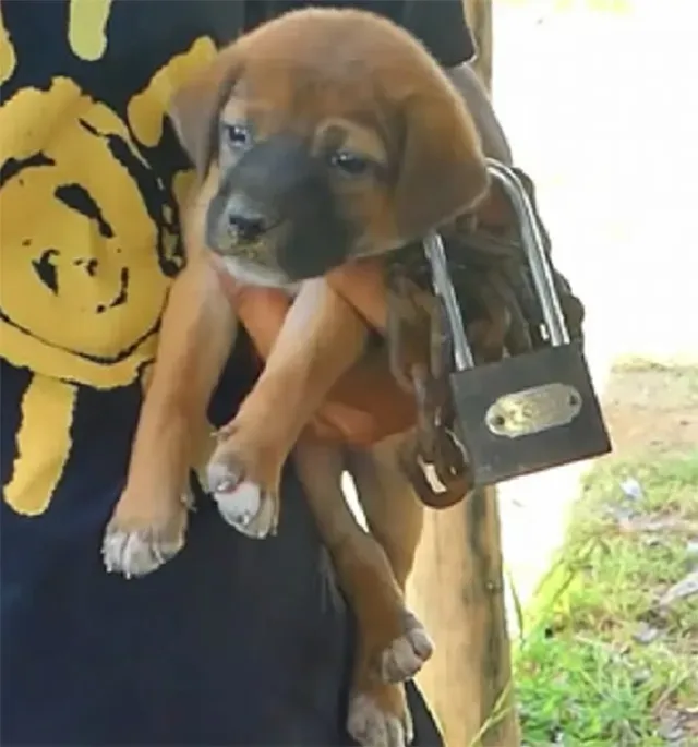 Extra image from article