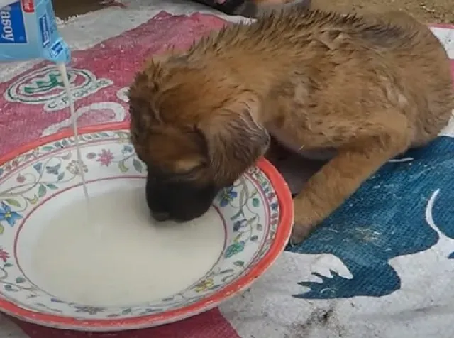 Extra image from article