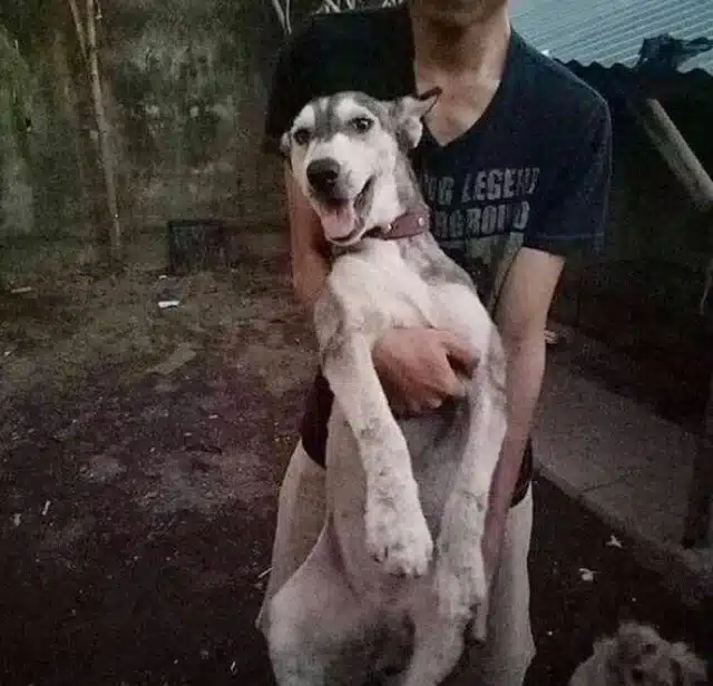 Extra image from article