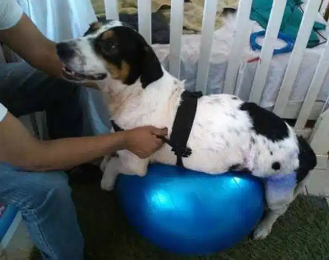 Extra image from article