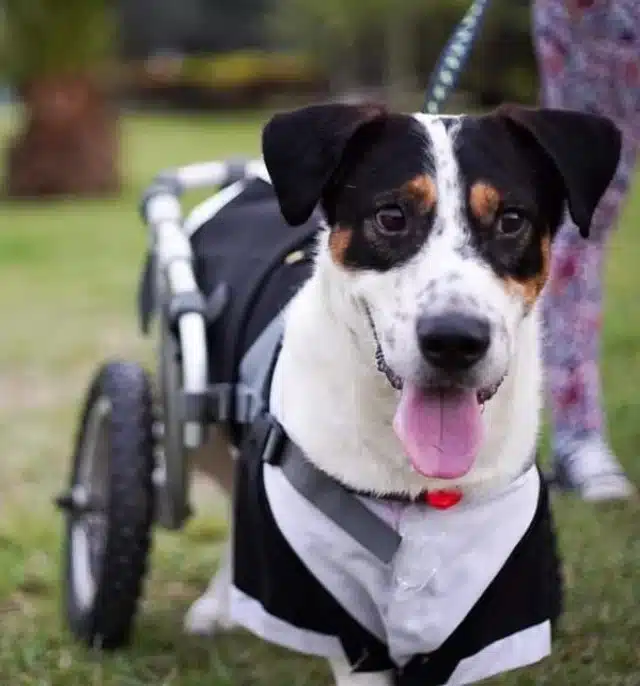 Extra image from article