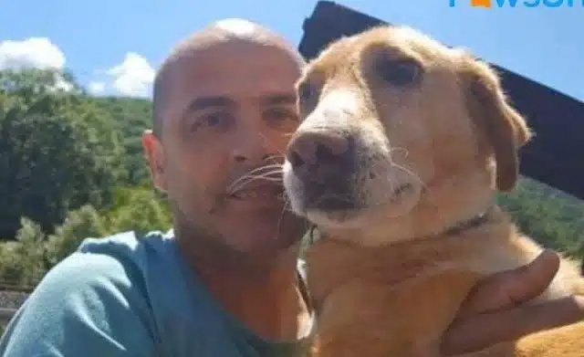 Extra image from article