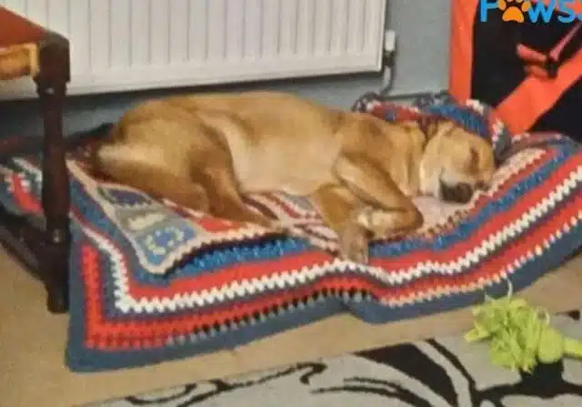 Extra image from article