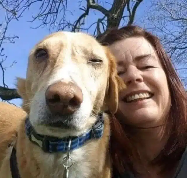 Extra image from article