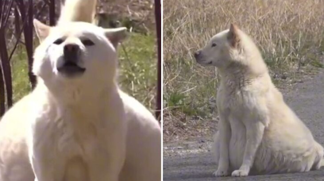 Fortunately, a kind-hearted woman discov...