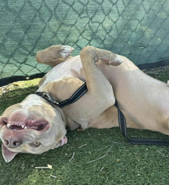 Extra image from article