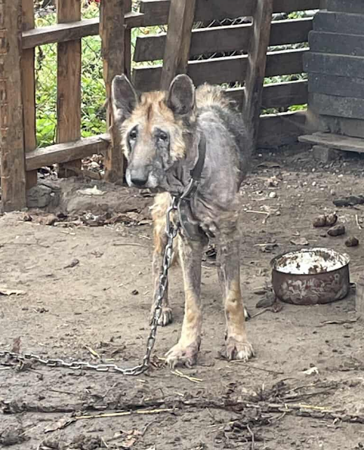 When rescuers eventually arrived, they f...