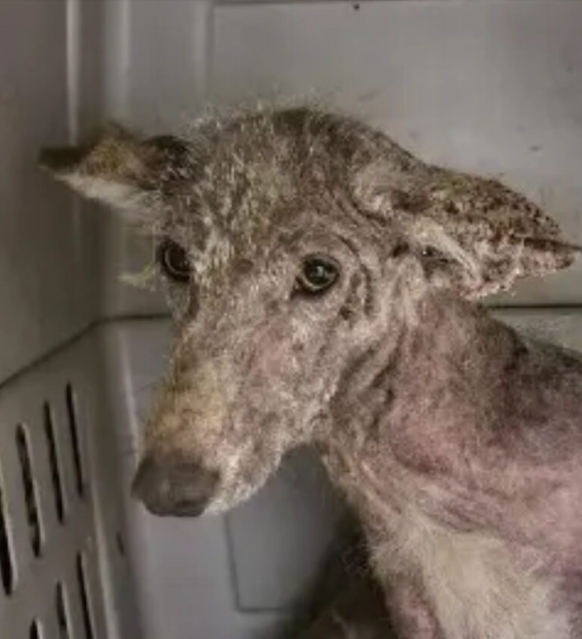 Then, something unexpected occurred. Aft...