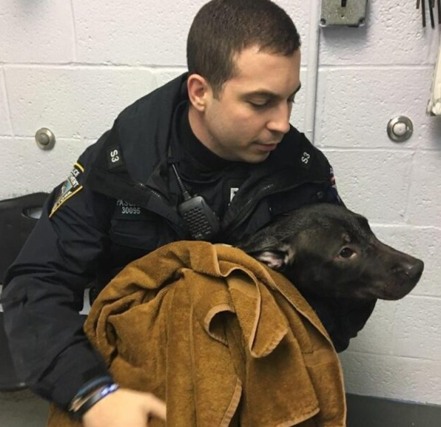 Eager to share his discovery, Pascale qu...