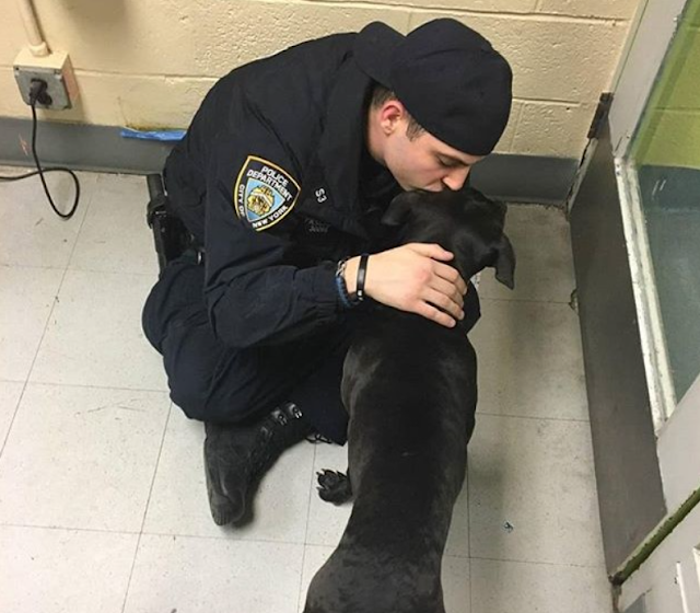 Today, Joey is a treasured member of Pas...