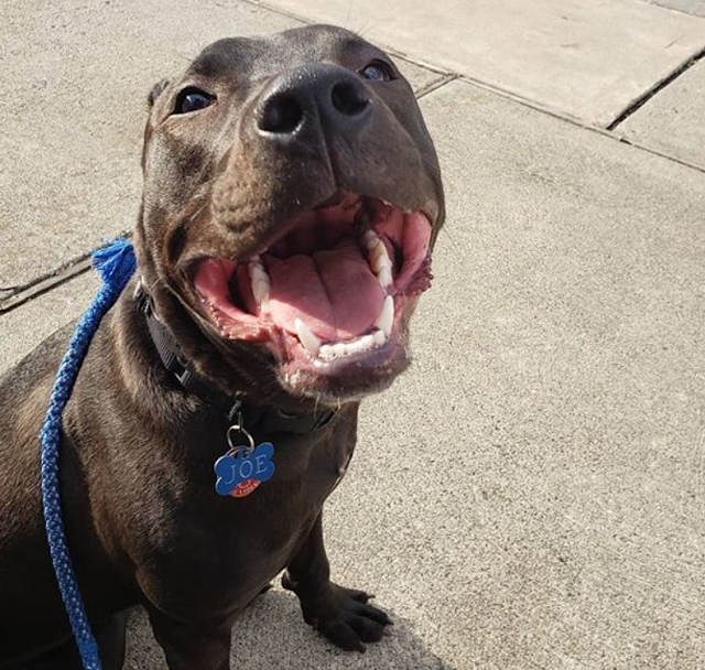 Extra image from article