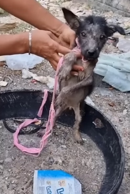 An emotional member of the rescue team e...