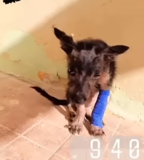 Extra image from article