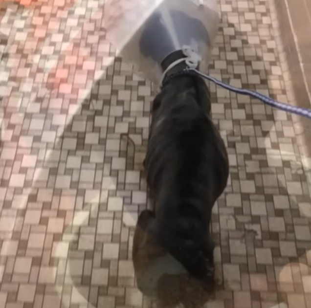 Despite moments of uncertainty and anxie...