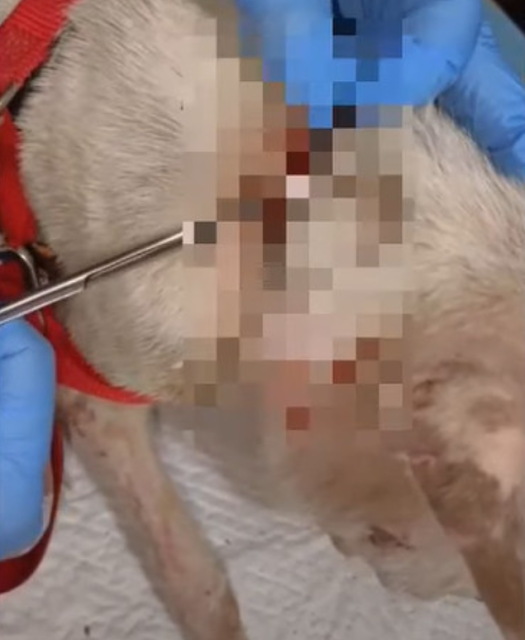 Her face, still swollen and marred by si...