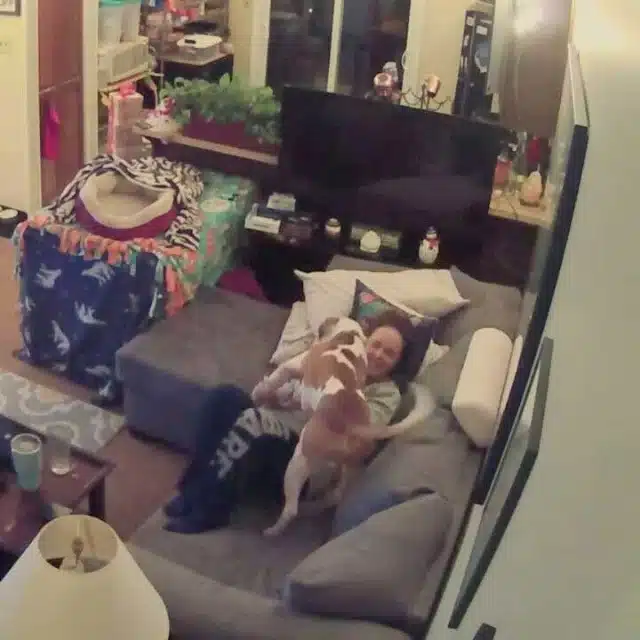 Extra image from article