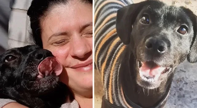 Extra image from article