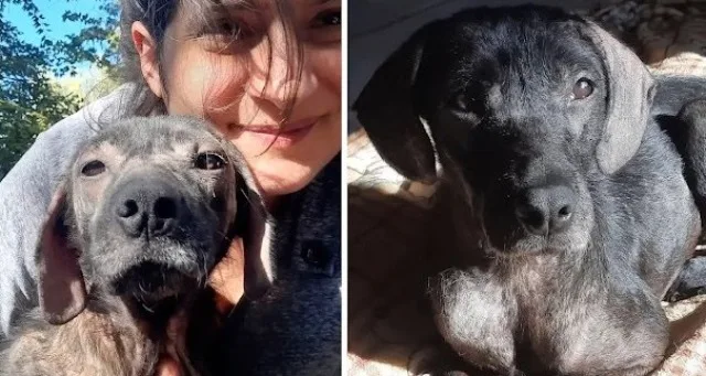 Extra image from article