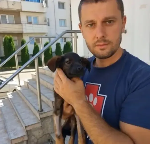 Extra image from article